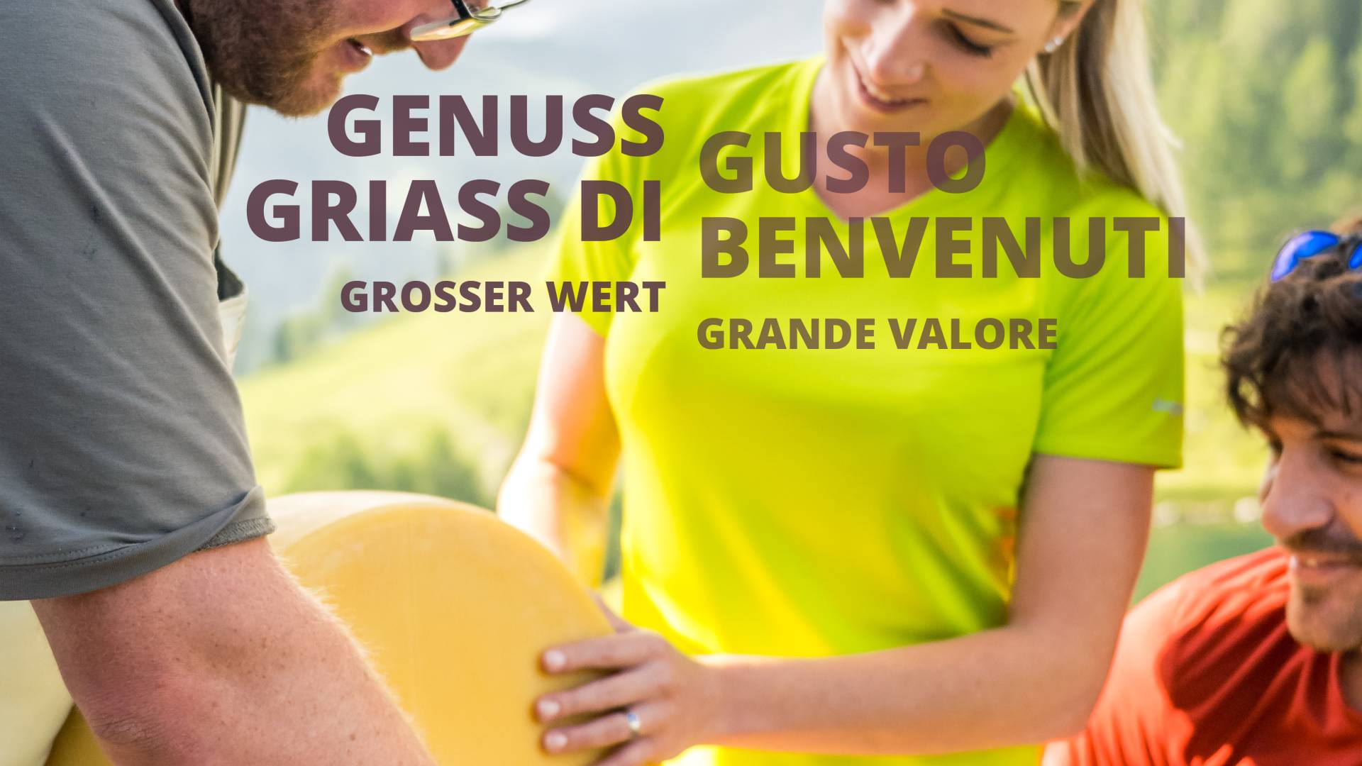 gailtaleralmkaesegu05