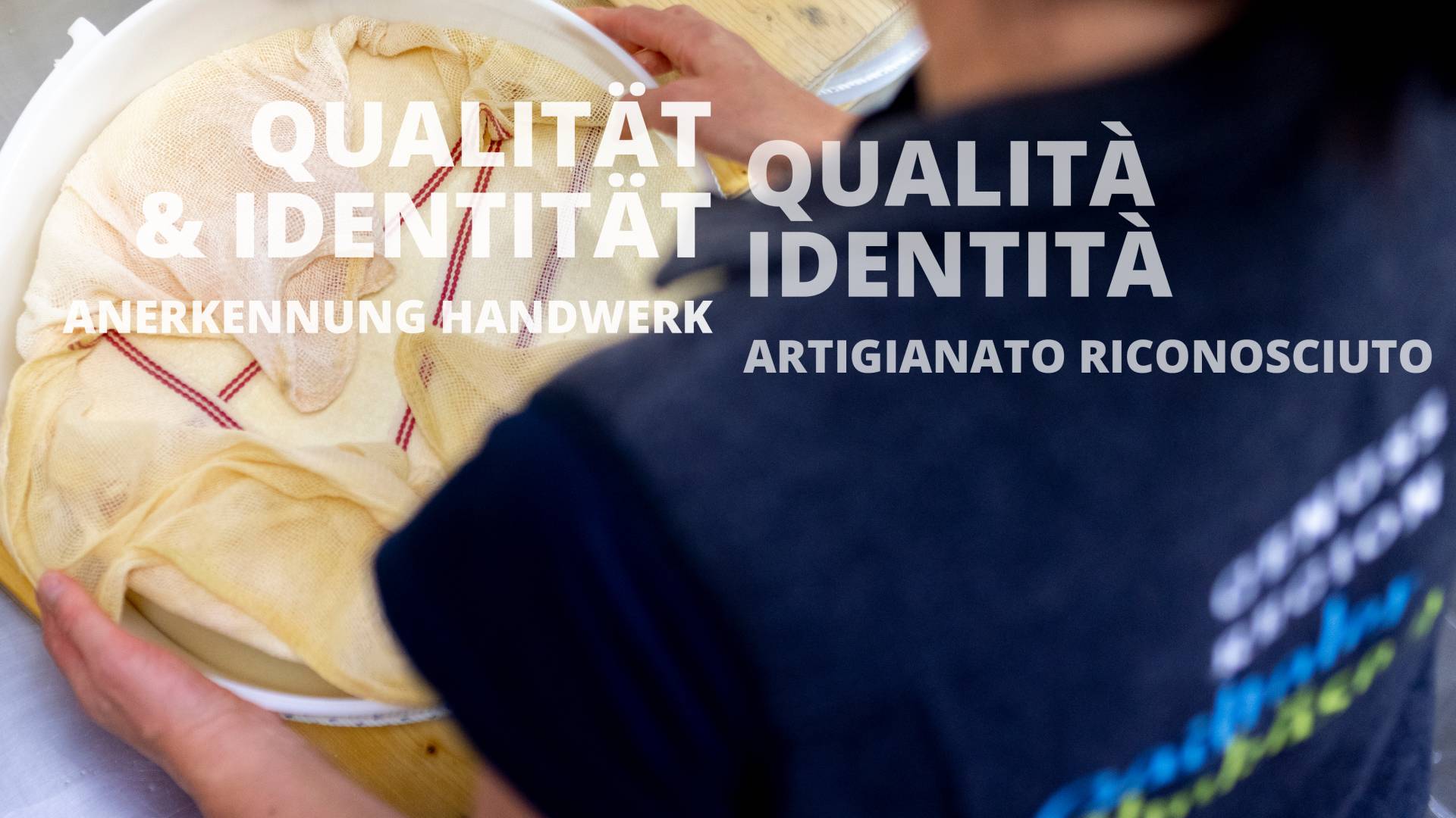 gailtaleralmkaesegu03