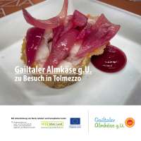 251011_ilfilodeisapori