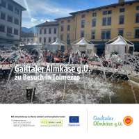 251011_ilfilodeisapori