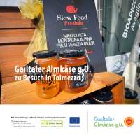 251011_ilfilodeisapori