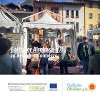 251011_ilfilodeisapori