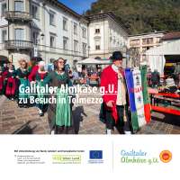 251011_ilfilodeisapori