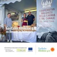 251011_ilfilodeisapori