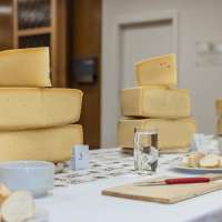 © Achim Mandler - gak260109_11 260109_sensorik