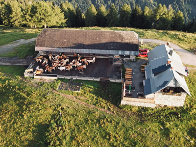 Tr&ouml;polacher Alm